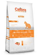Calibra cat Kitten