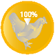 ikony joy chicken01